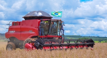Geração de empregos em Goiás é destaque nacional